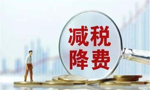 高新技術企業(yè)認定條件及稅收優(yōu)惠政策詳解
